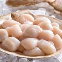 Fresh sea scallops from the local seafood market