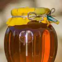 Jar of fresh honey