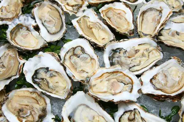 Oysters on the half shell are a popular item at raw bars