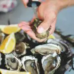 Are Oysters an Aphrodisiac