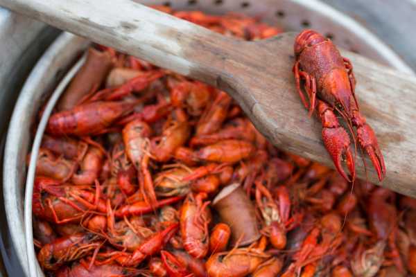 hot n juicy crawfish